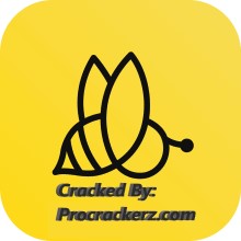 BeeCut Crack - procrackerz.com