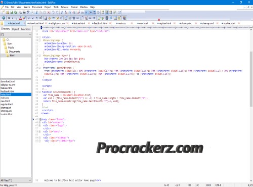 EditPlus - Procrackerz.com