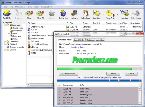 IDM Crack With Keygen - Procrackerz.com