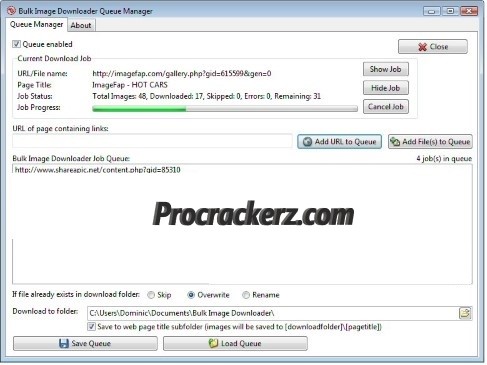 Bulk Image Downloader procrackerz.com