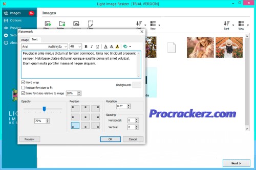 Light Image Resizer 6.1.8.0 download