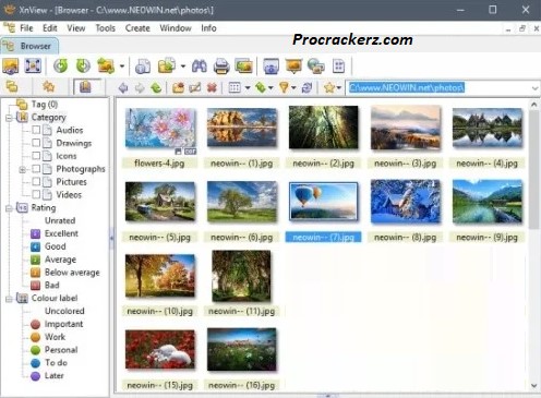 XnView Crack Full Version procrackerz